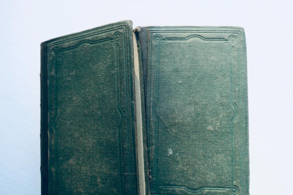 Curé d'Ars. Vie de Jean-Baptiste-Marie Vianney 1874
