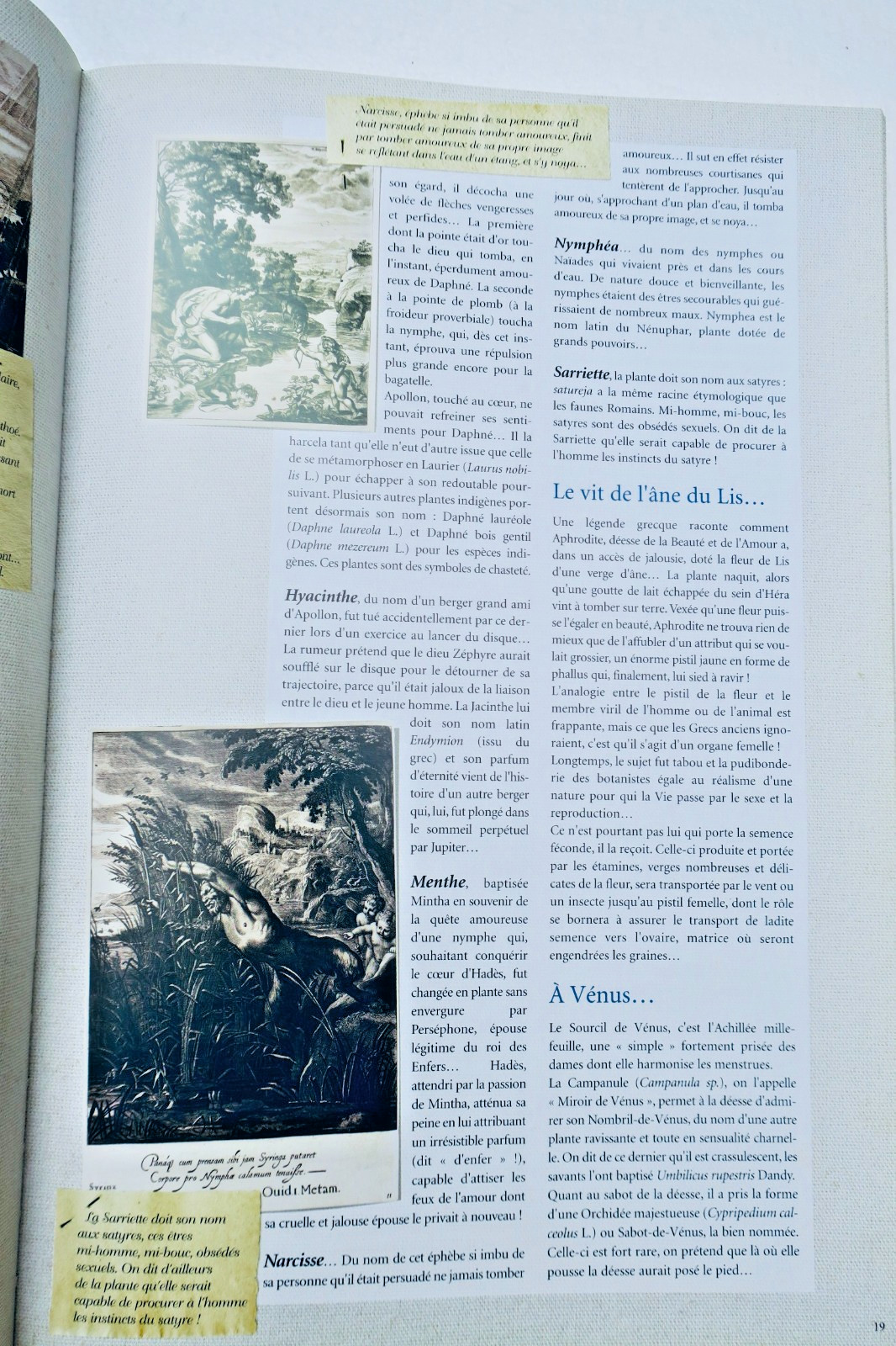 Erotic herbarium of aphrodisiac plants: Stories and legends