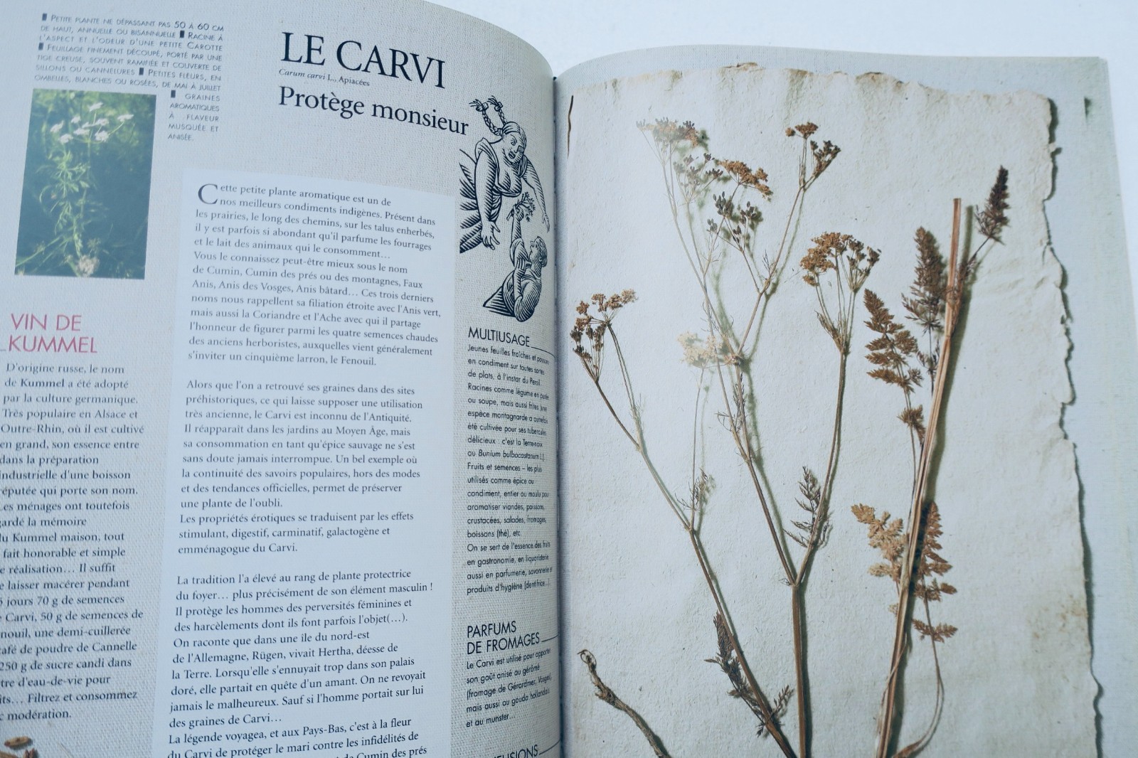 Erotic herbarium of aphrodisiac plants: Stories and legends
