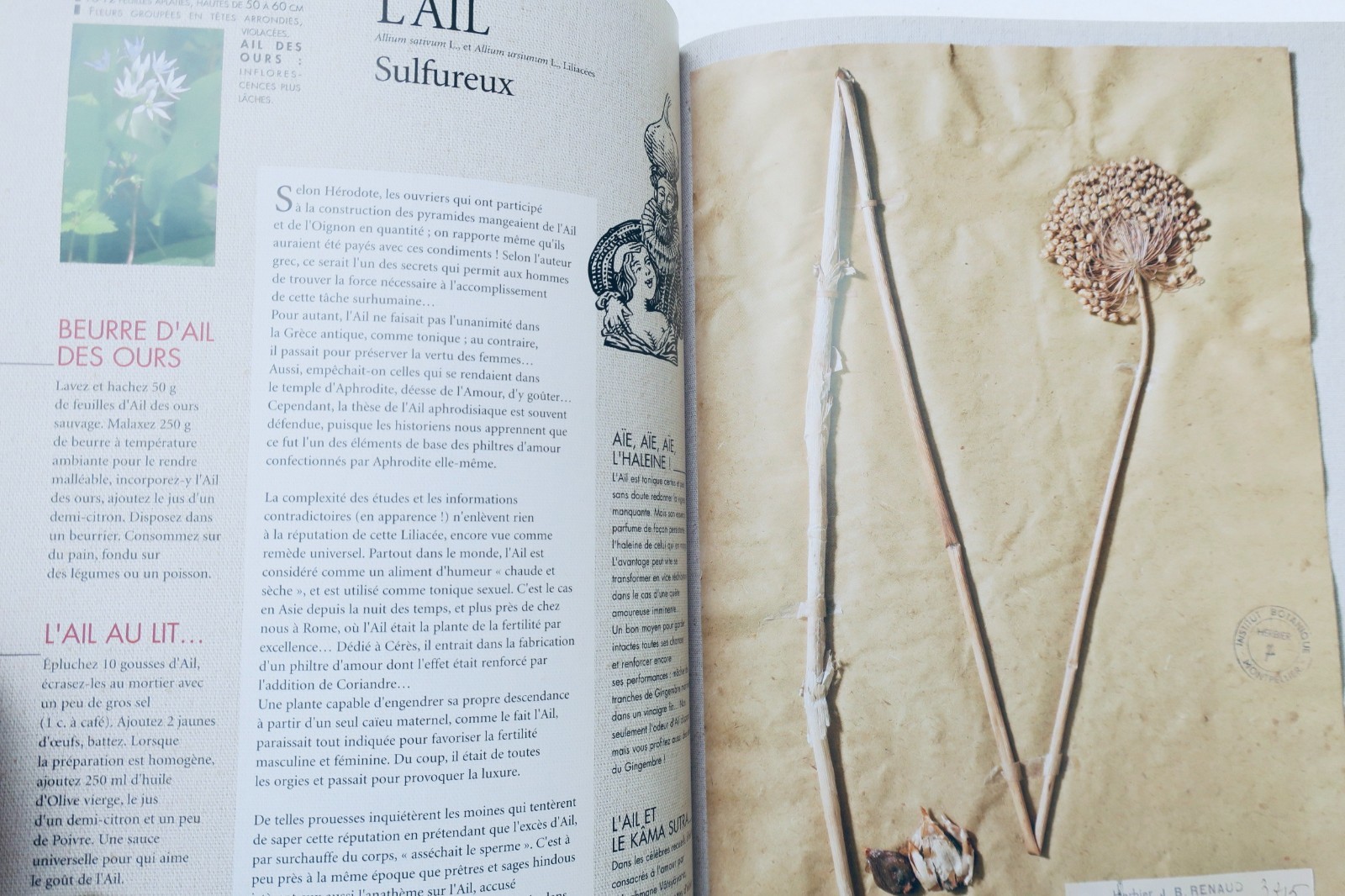 Erotic herbarium of aphrodisiac plants: Stories and legends