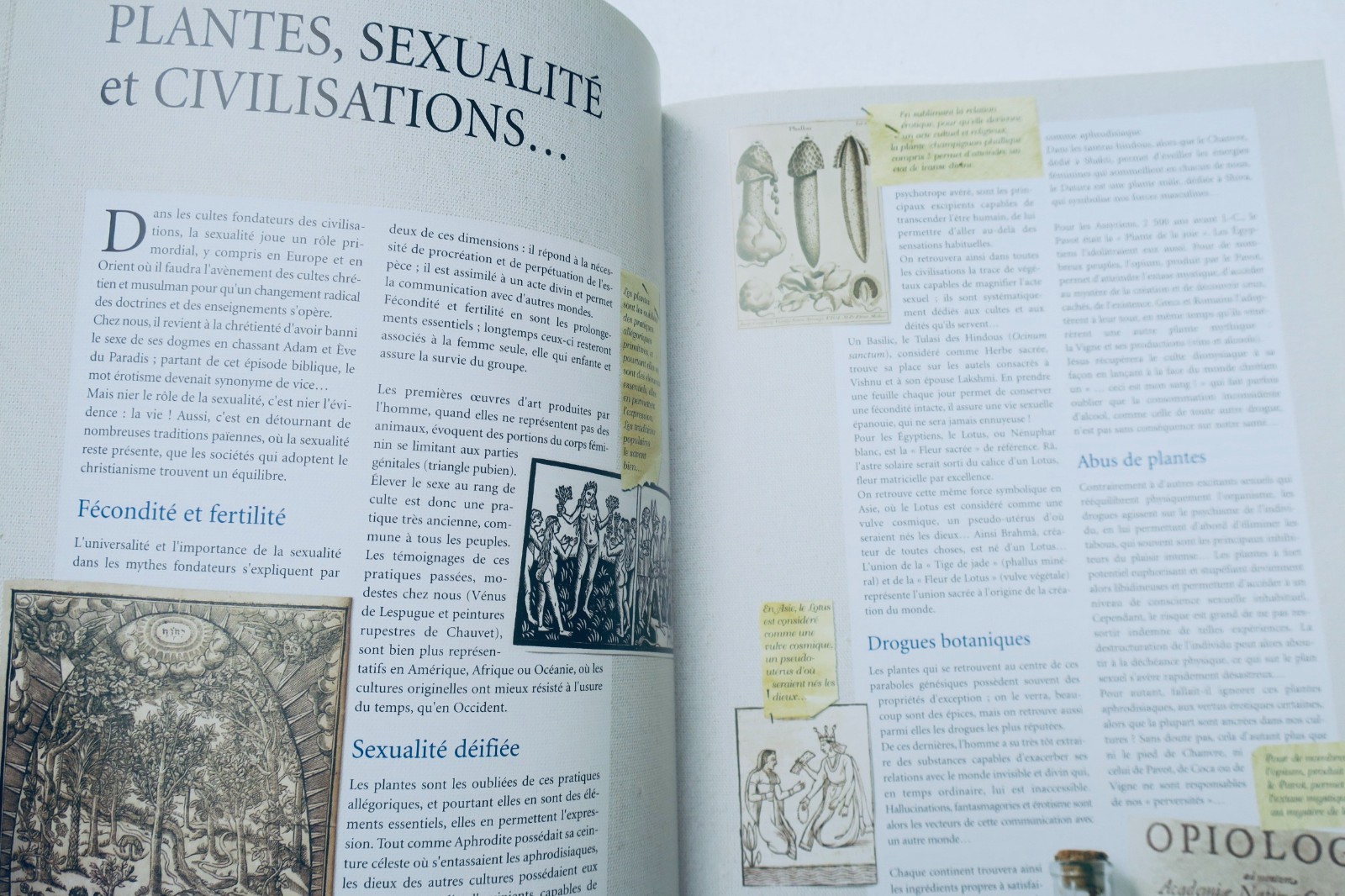 Erotic herbarium of aphrodisiac plants: Stories and legends