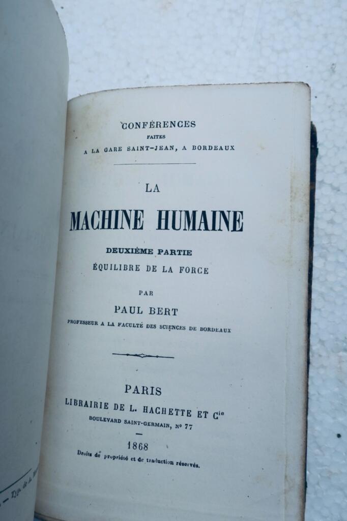 Diluvium 15. Jh. oder 40.000 menschliche prädiluviale Skelette + Geschichte des Menschen