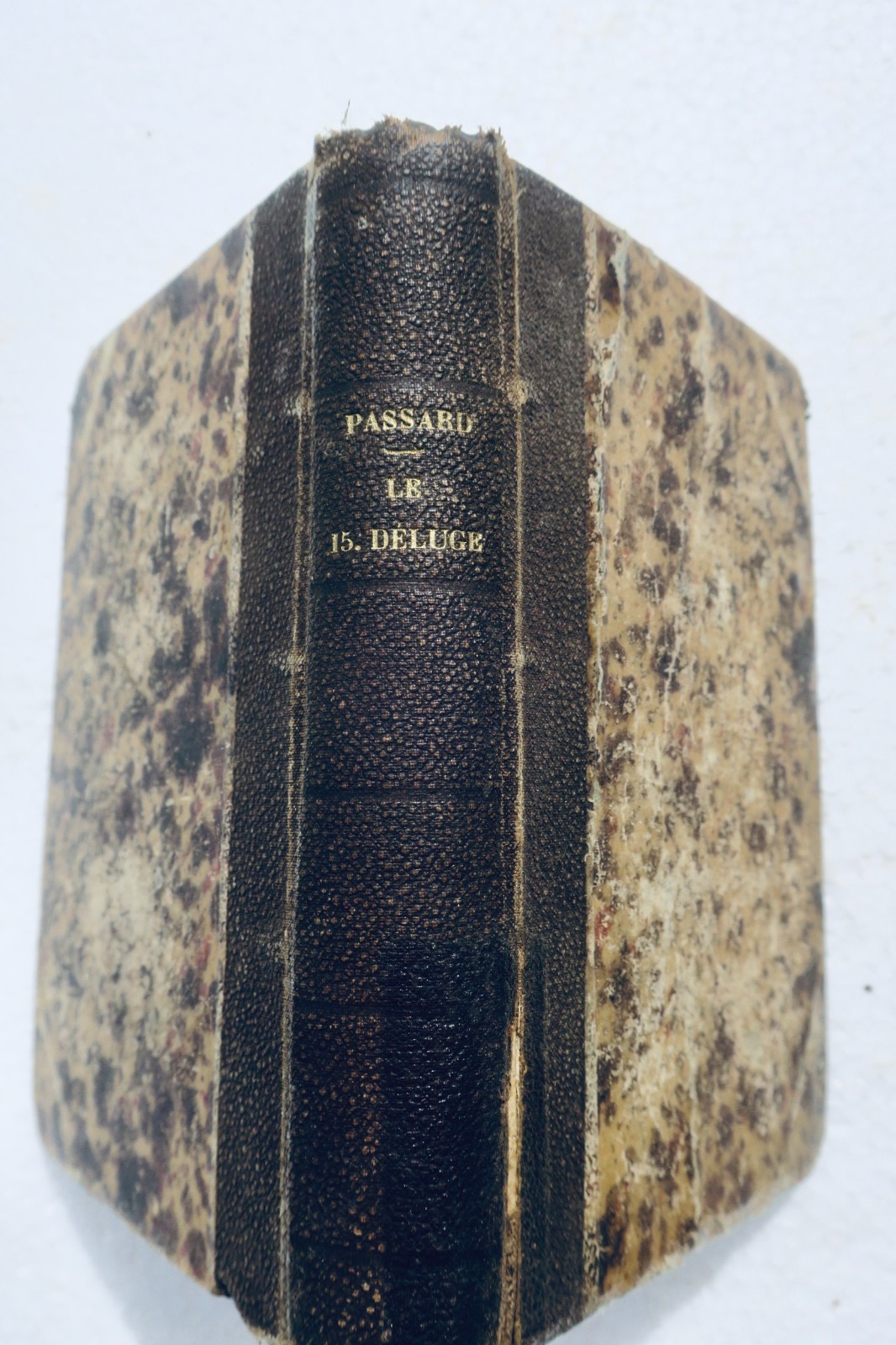 déluge 15e déluge ou 40000 squelettes humains antédiluviens + histoire de l’homm - La Librairie Antique