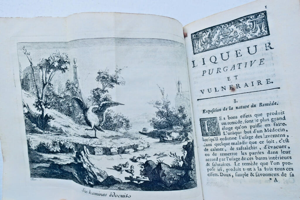 dissertation physico-médicale sur les causes de plus 1758
