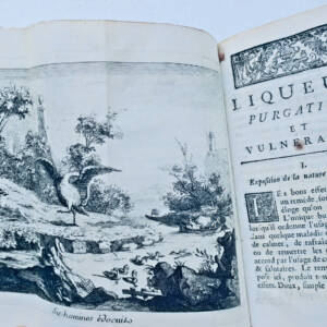 dissertation physico-médicale sur les causes de plus 1758