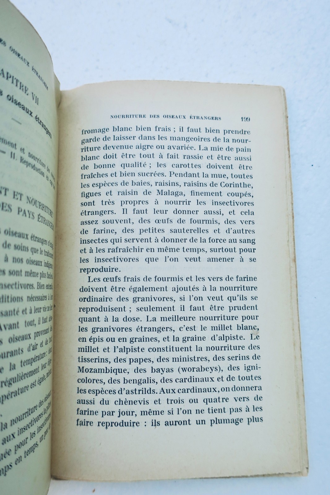éleveur d'oiseaux ou art de l'oiselier 1914 Roret – Image 7
