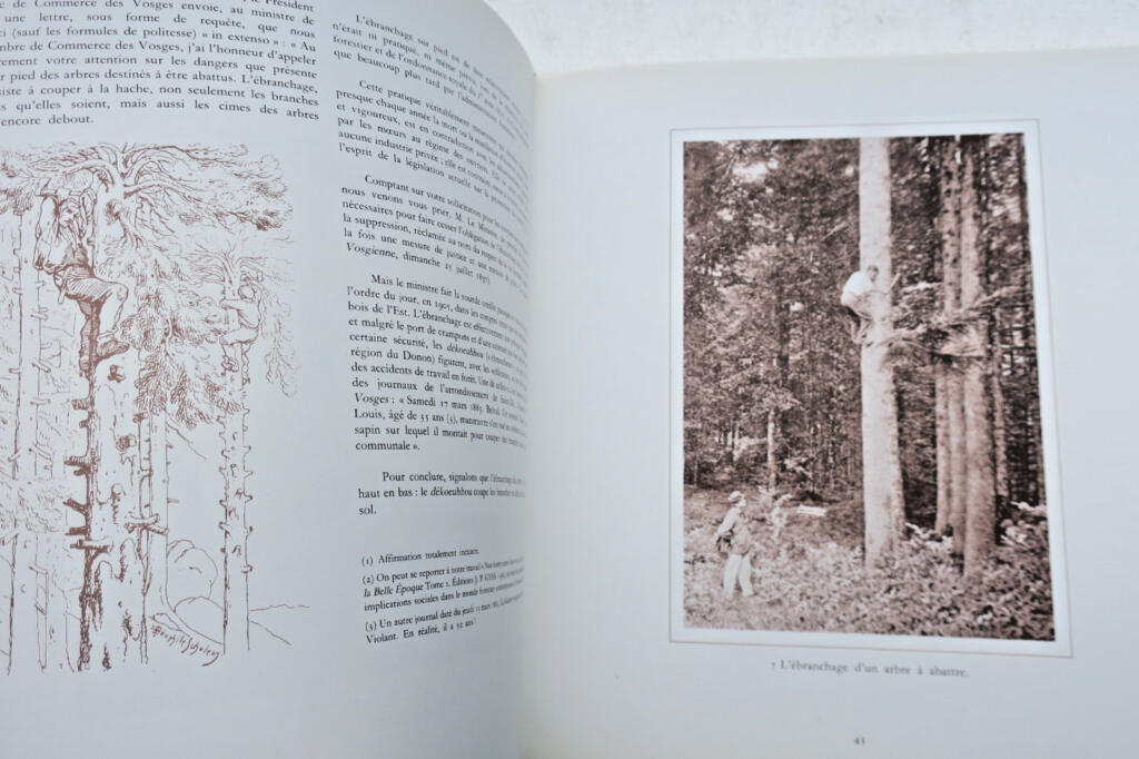 Forestiers et bucherons album de Victor Franck