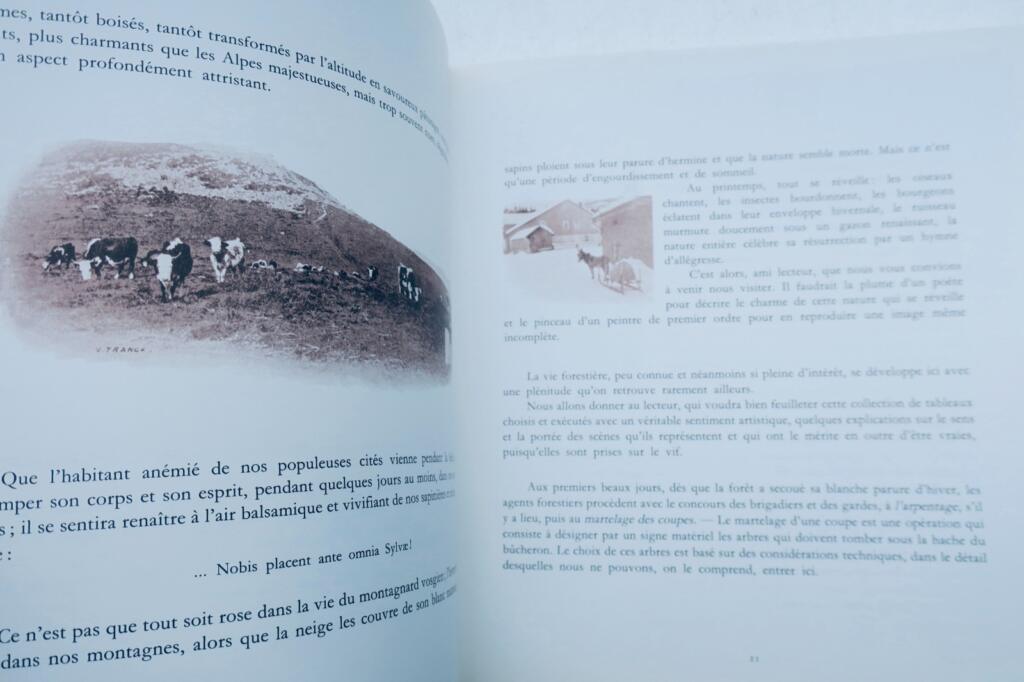 Forestiers et bucherons album de Victor Franck