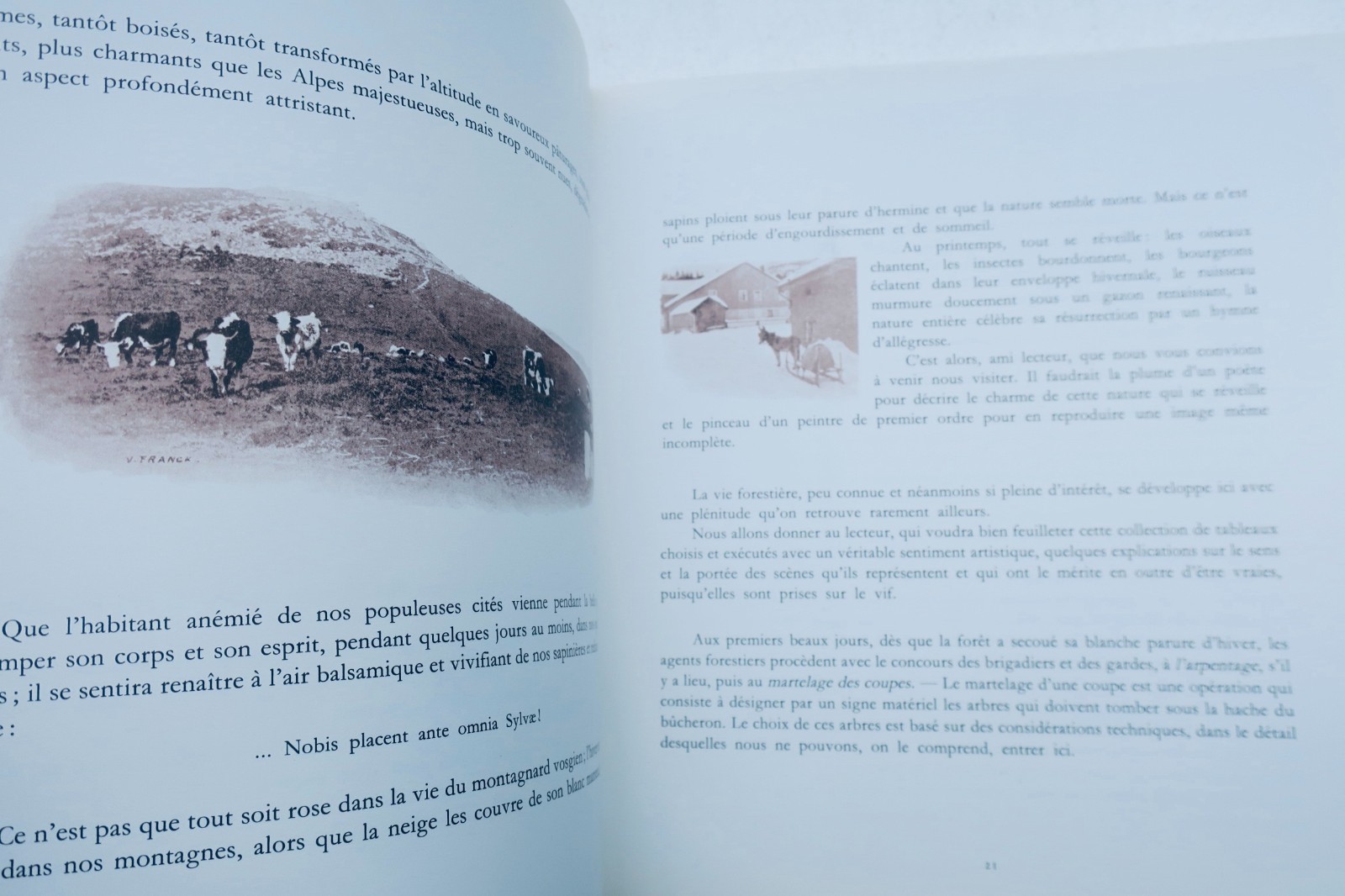 ヴィクトル・フランク作「森番と樵のアルバム」
