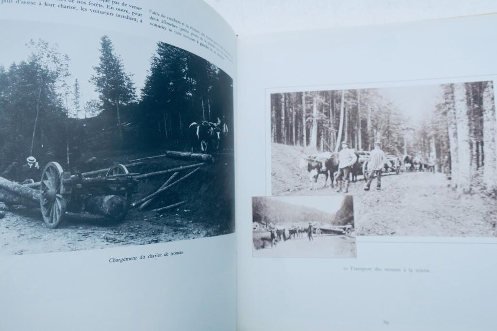 Forestiers et bucherons album de Victor Franck