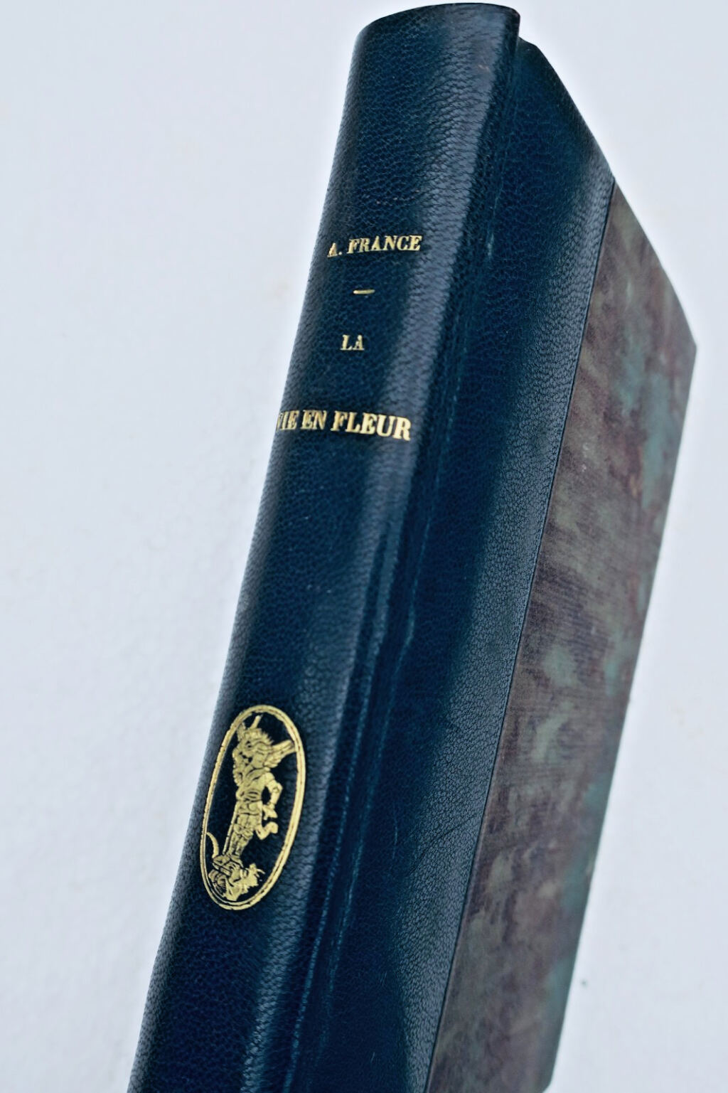 FRANCE (Anatole). La Vie en fleur 1922