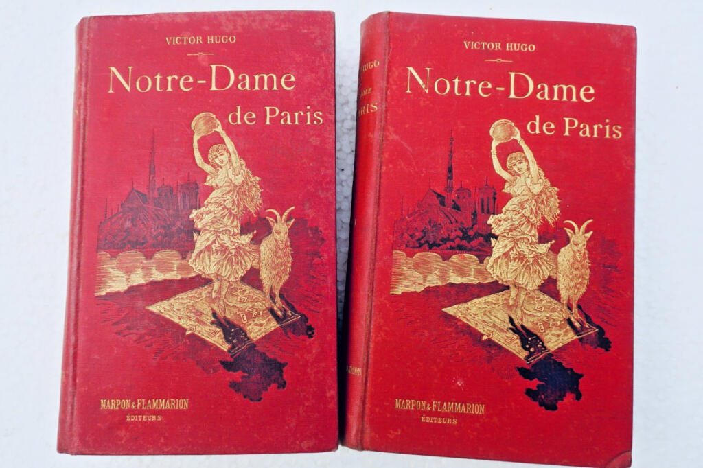 Hugo Notre-Dame de Paris 105 x 165 mm