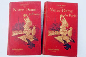 Hugo Notre-Dame de Paris 105 x 165 mm