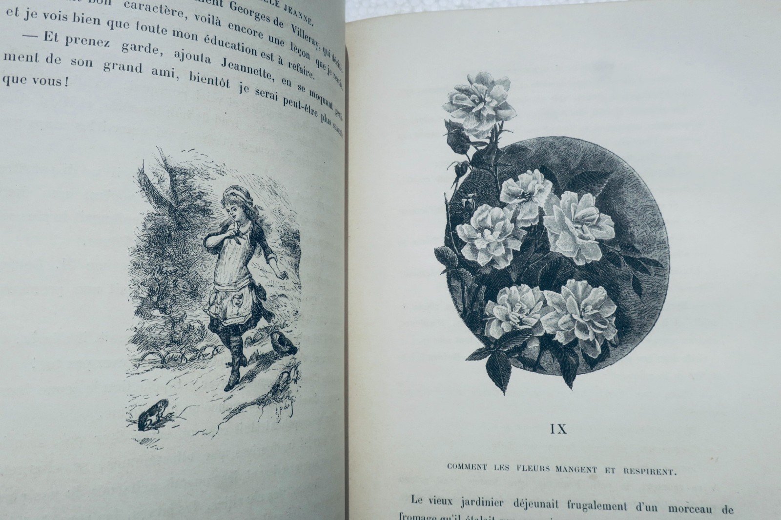 让娜小姐的花园:老园丁植物学 1887年