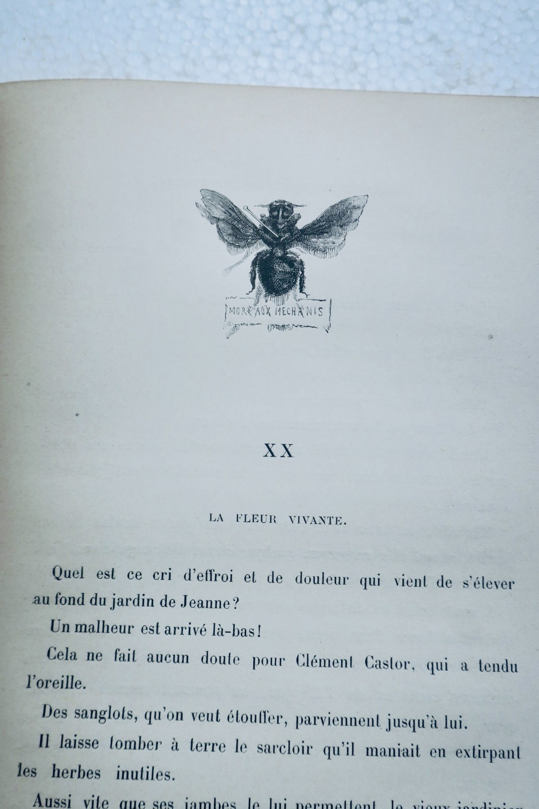 让娜小姐的花园:老园丁植物学 1887年