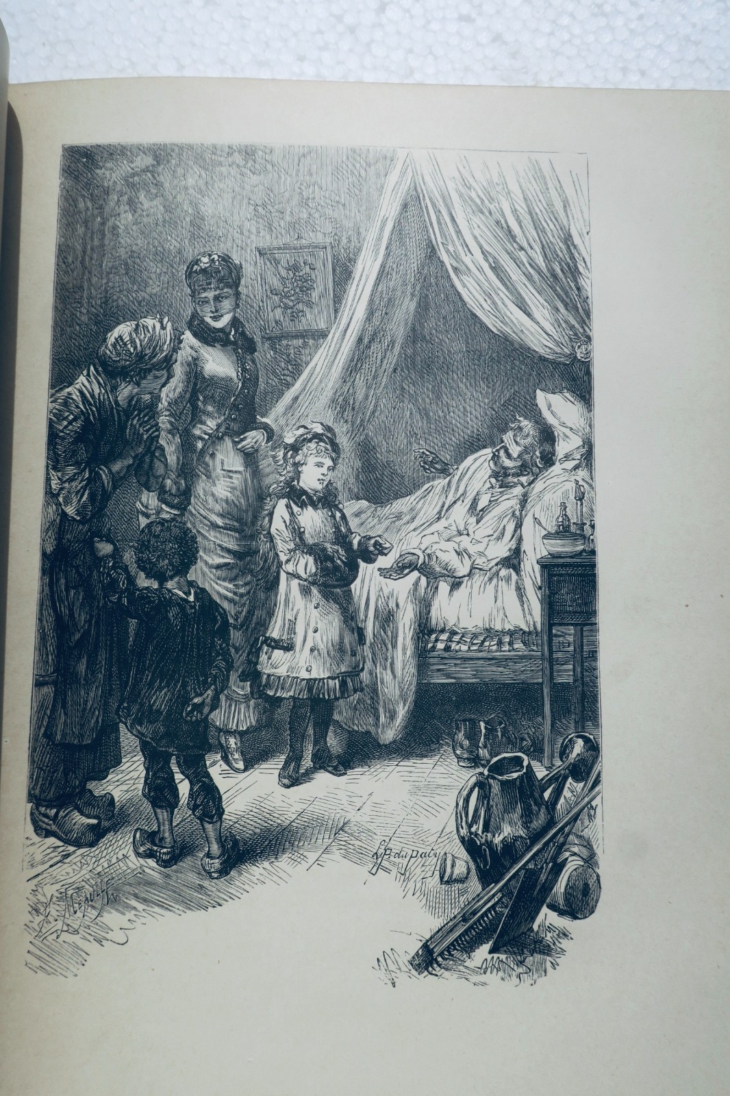 让娜小姐的花园:老园丁植物学 1887年