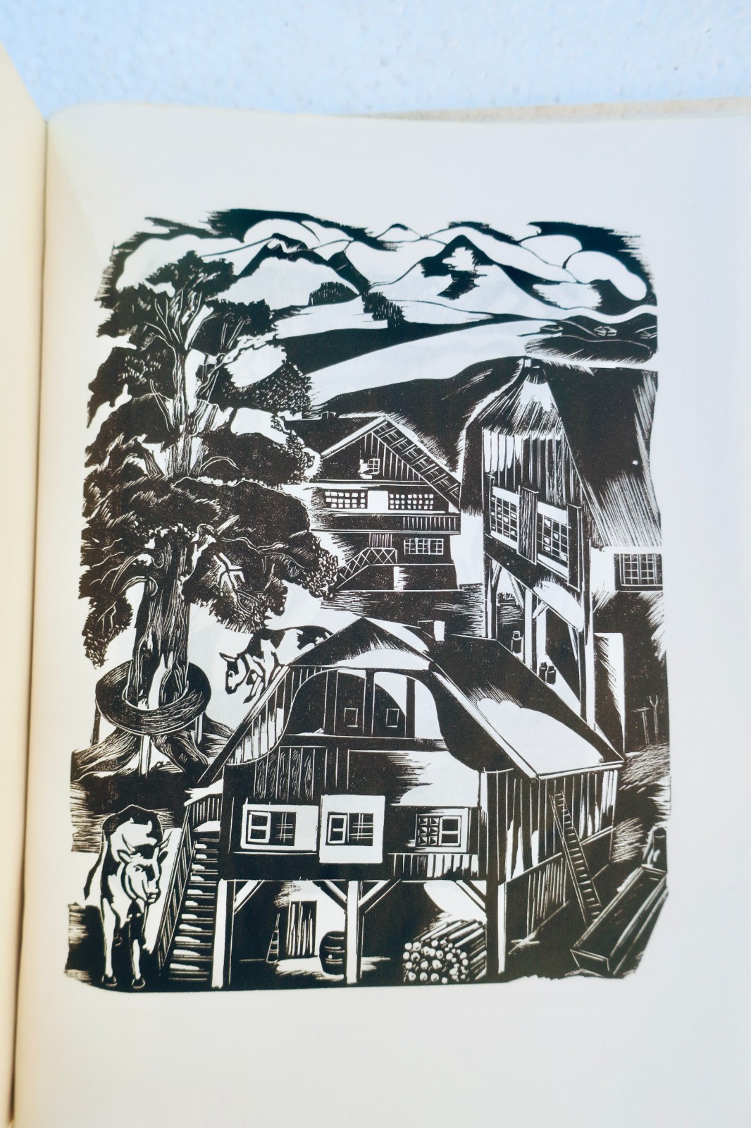 KNITTEL John Thérèse étienne. Bois gravés Joris Minne. Traduit par Marie Mirande – Image 7
