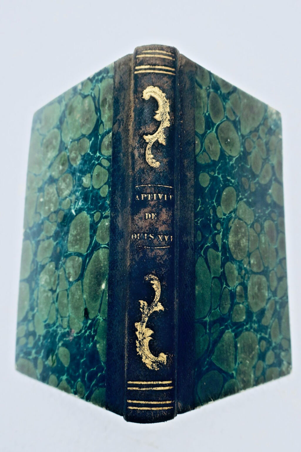 louis XVI Journal über das, was im Tempelturm während seiner Gefangenschaft geschah