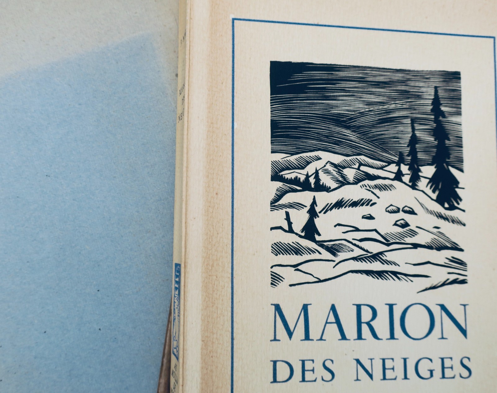 MARTET Marion des neiges ill-Leconte – Image 3