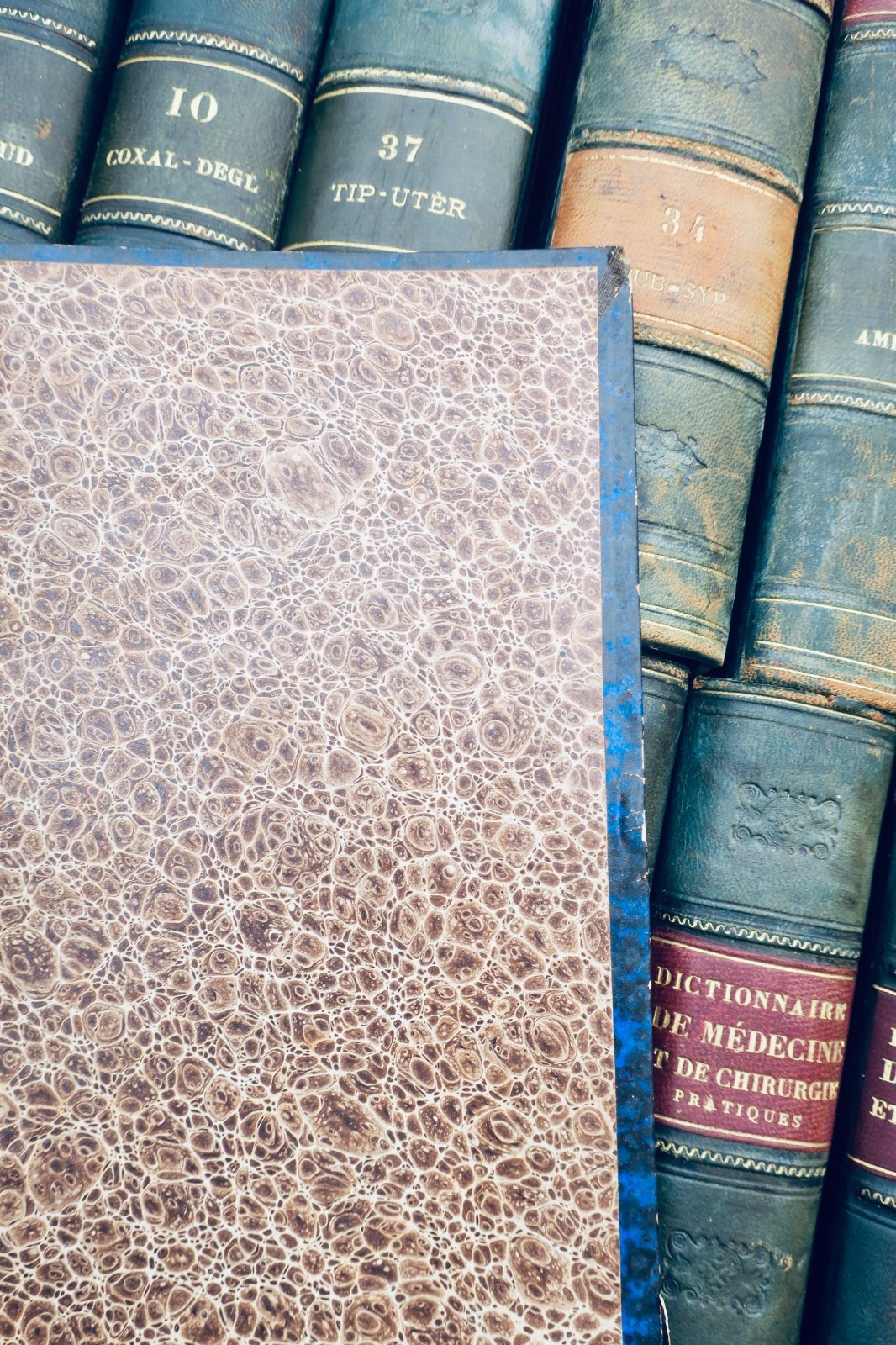 médecine et de chirurgie pratiques 40/40 1880 dictionnaire de médecine – Image 4