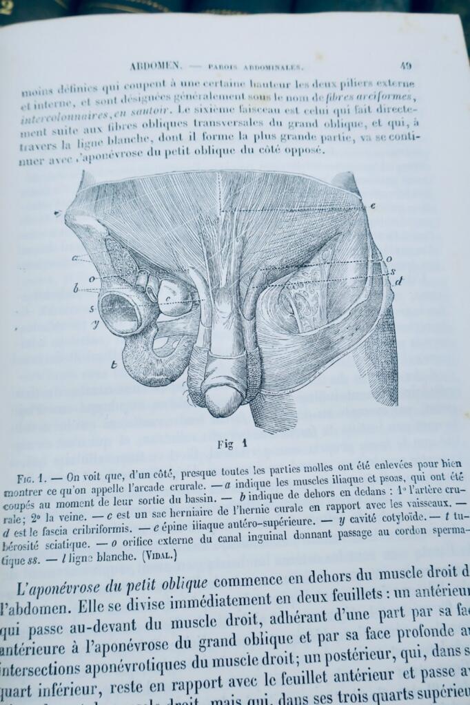 Medicine and Practical Surgery 40/40 1880 Dictionary of Medicine