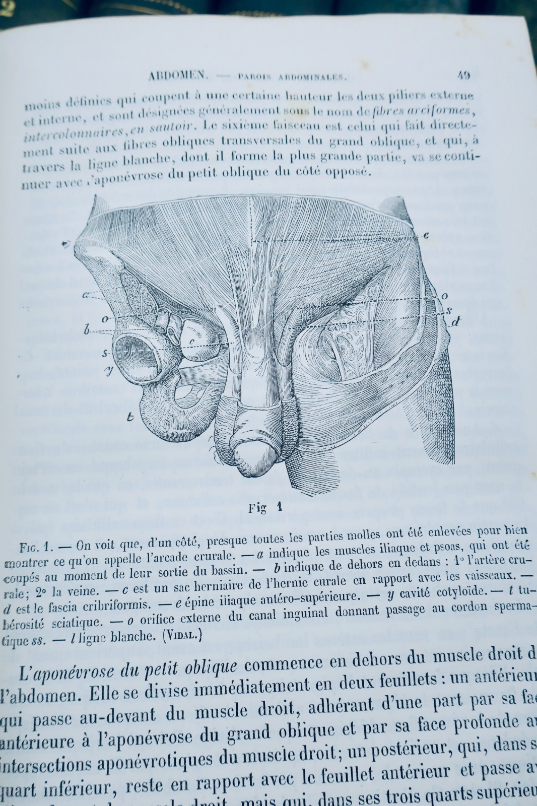 médecine et de chirurgie pratiques 40/40 1880 dictionnaire de médecine – Image 7