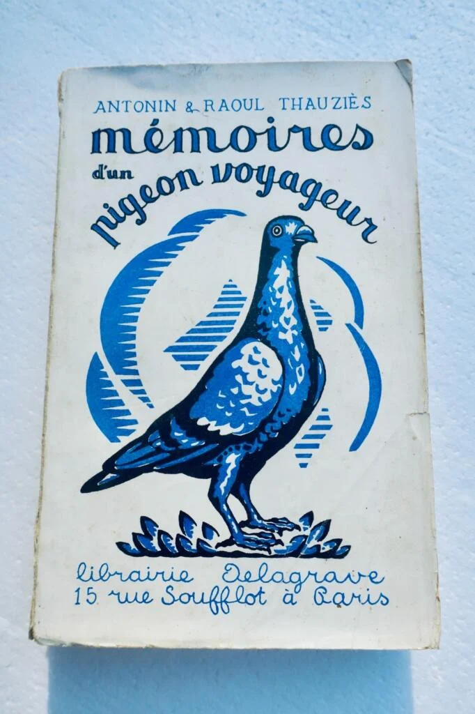 mémoires d’un pigeon voyageur