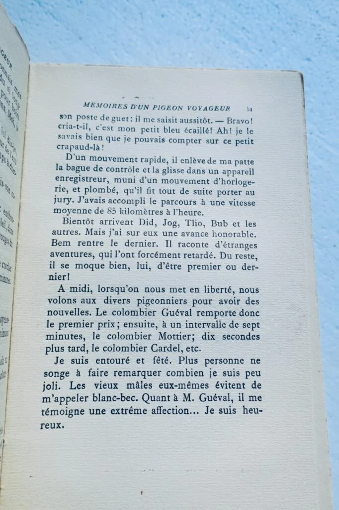 mémoires d’un pigeon voyageur