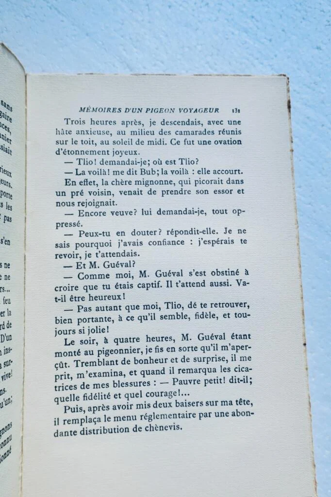 mémoires d’un pigeon voyageur