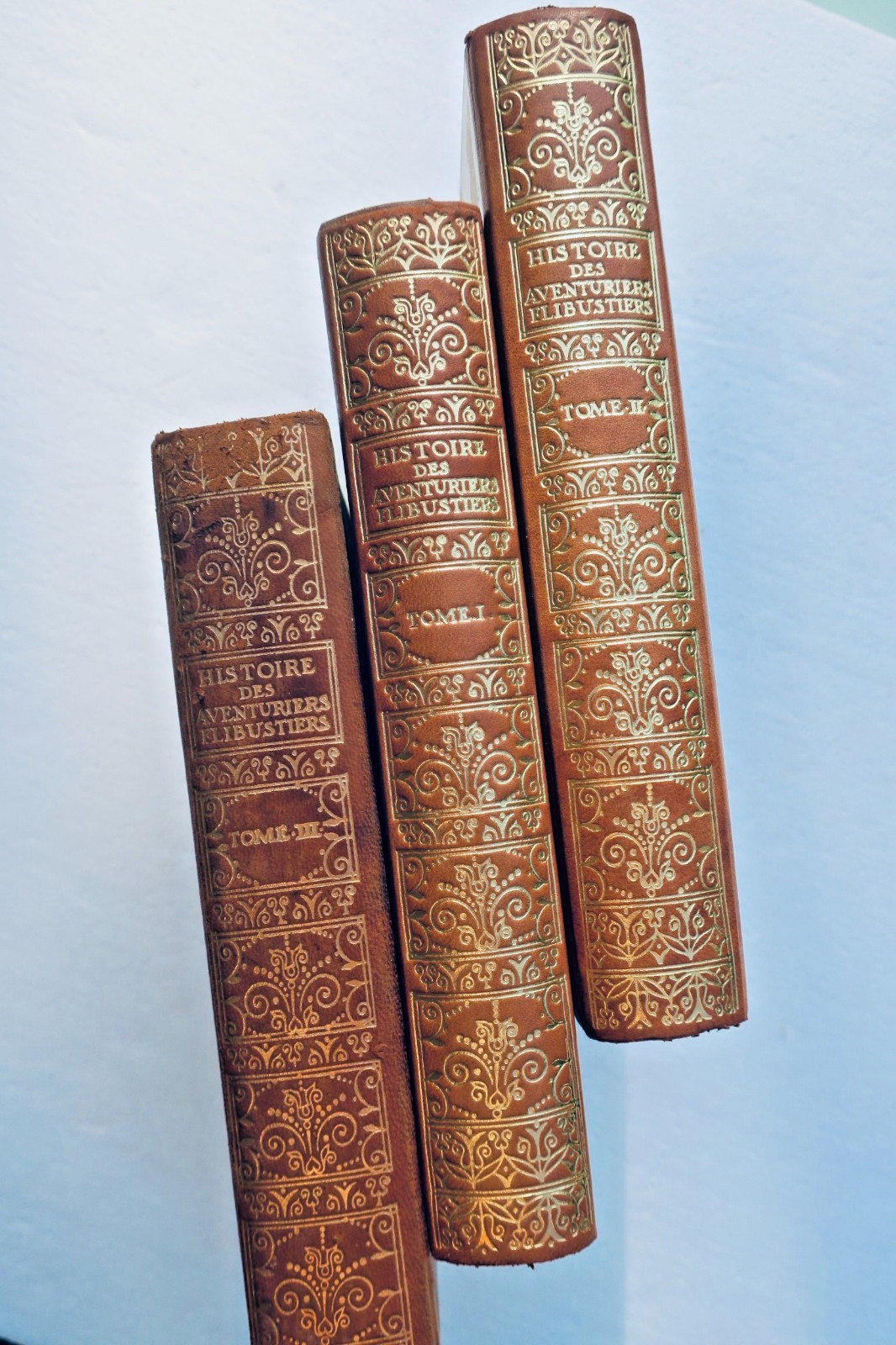 Alexandre-Olivier Oexmelin, *Histoire des aventuriers flibustiers et boucaniers*, 1688