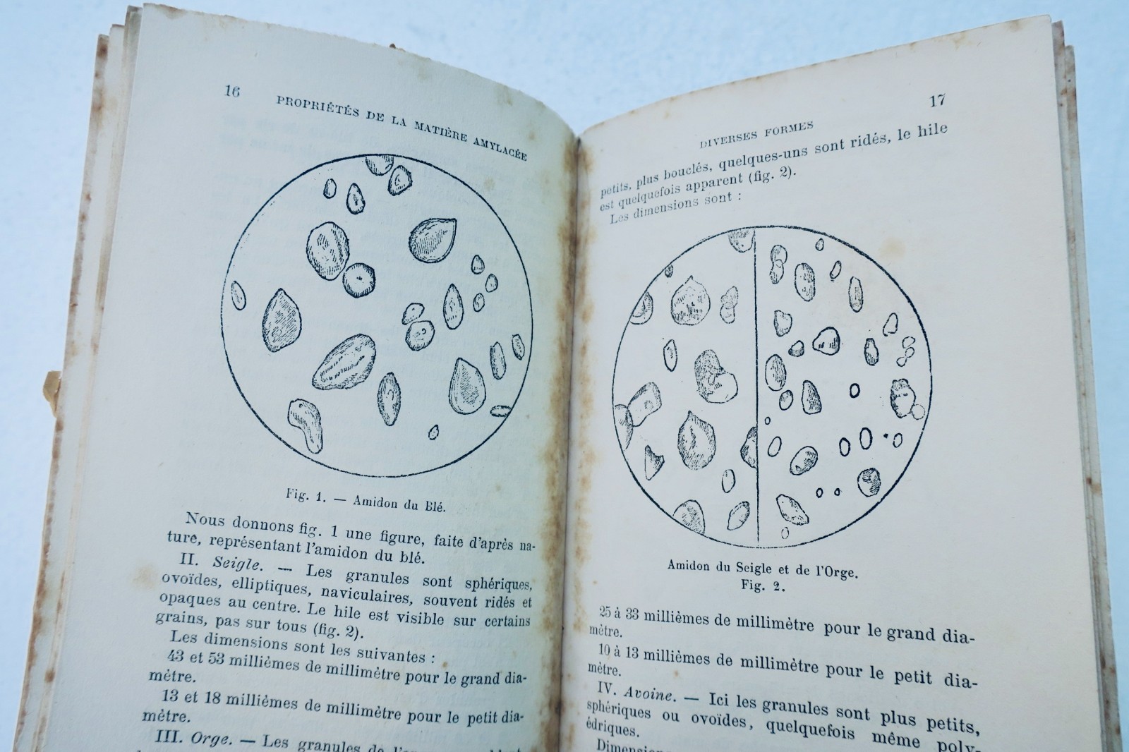 pates alimentaires amidonnier et du fabricant de pâtes alimentaires 1890 Roret – Image 4