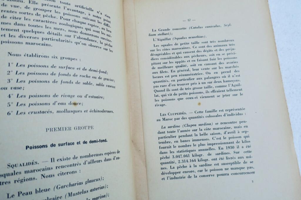 poisson au Maroc, industries des pêches et industries dérivées 1932