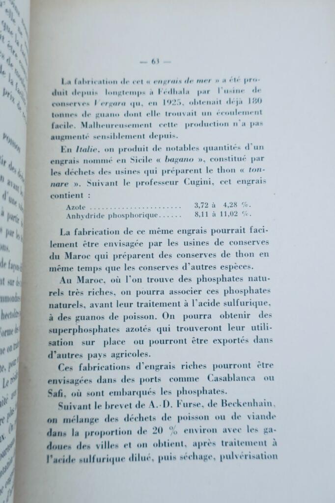 poisson au Maroc, industries des pêches et industries dérivées 1932