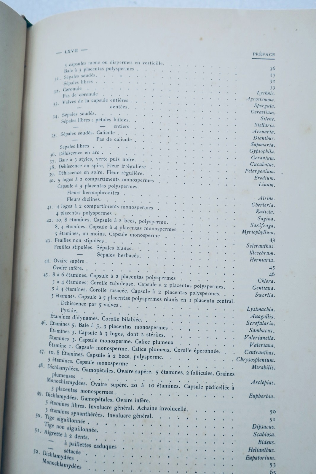 pyrénées Jean Bergeret Flore des Basses-Pyrénées 1909 – Image 4