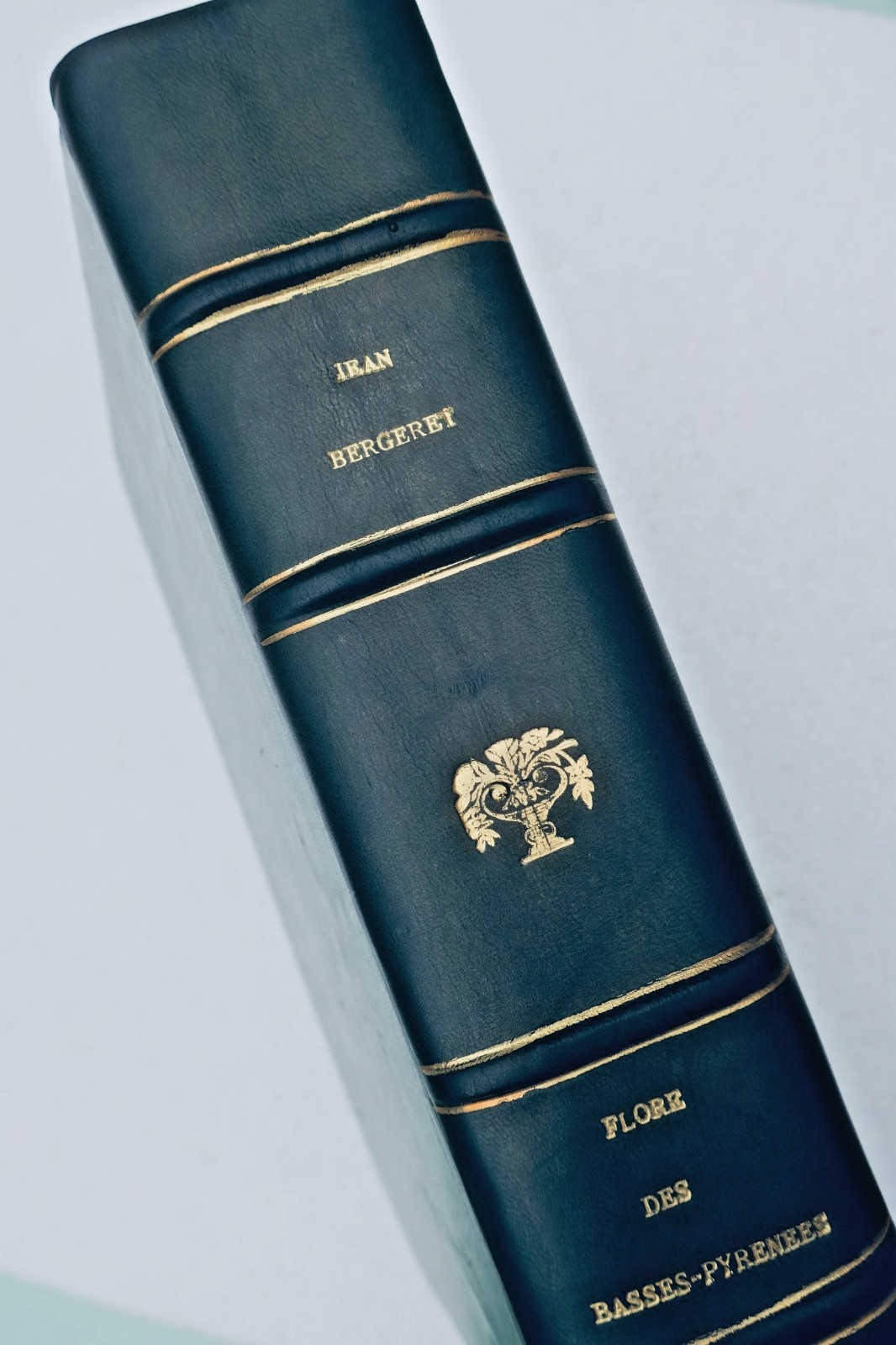 pyrénées Jean Bergeret Flore des Basses-Pyrénées 1909 - La Librairie Antique