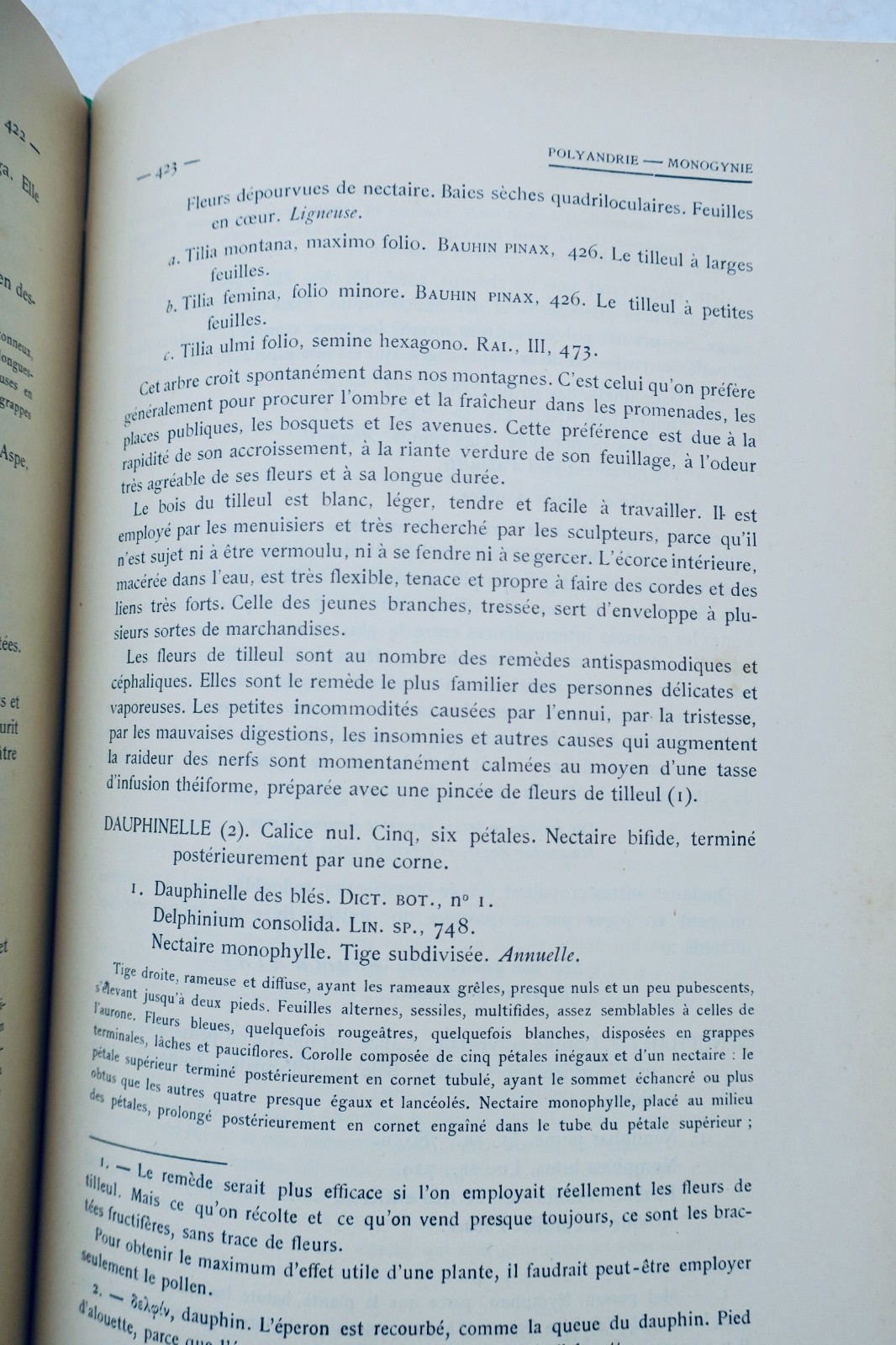 pyrénées Jean Bergeret Flore des Basses-Pyrénées 1909 – Image 6
