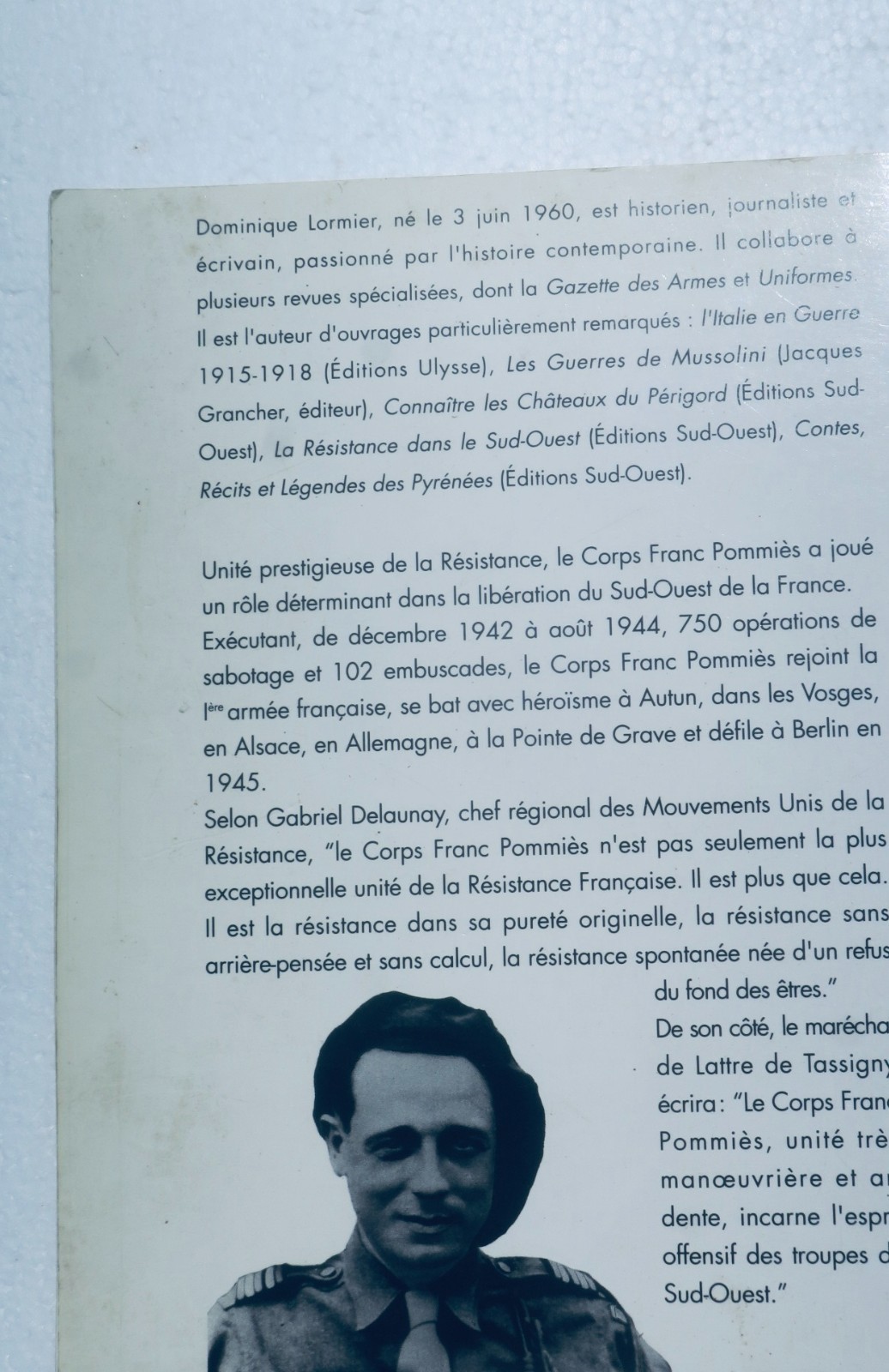 Resistance: The Epic of the Pommiès Franc-Tireurs - From the Pyrenees to Berlin