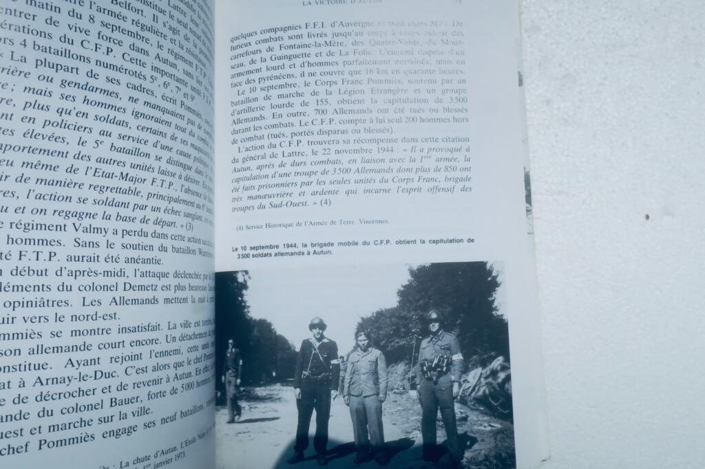 resistance The Epic of the Pommiès Free Corps – from the Pyrenees to Berlin