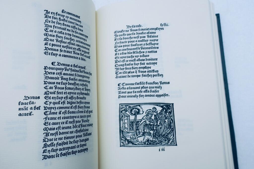 ROMMANT DE LA ROSE Bonnot