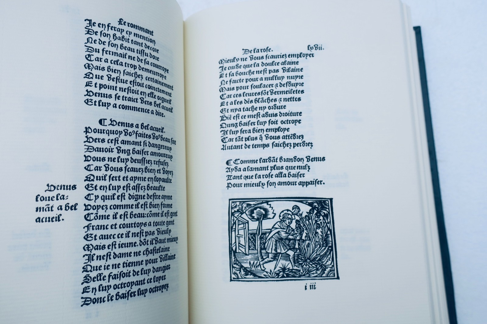 ROMMANT DE LA ROSE Bonnot