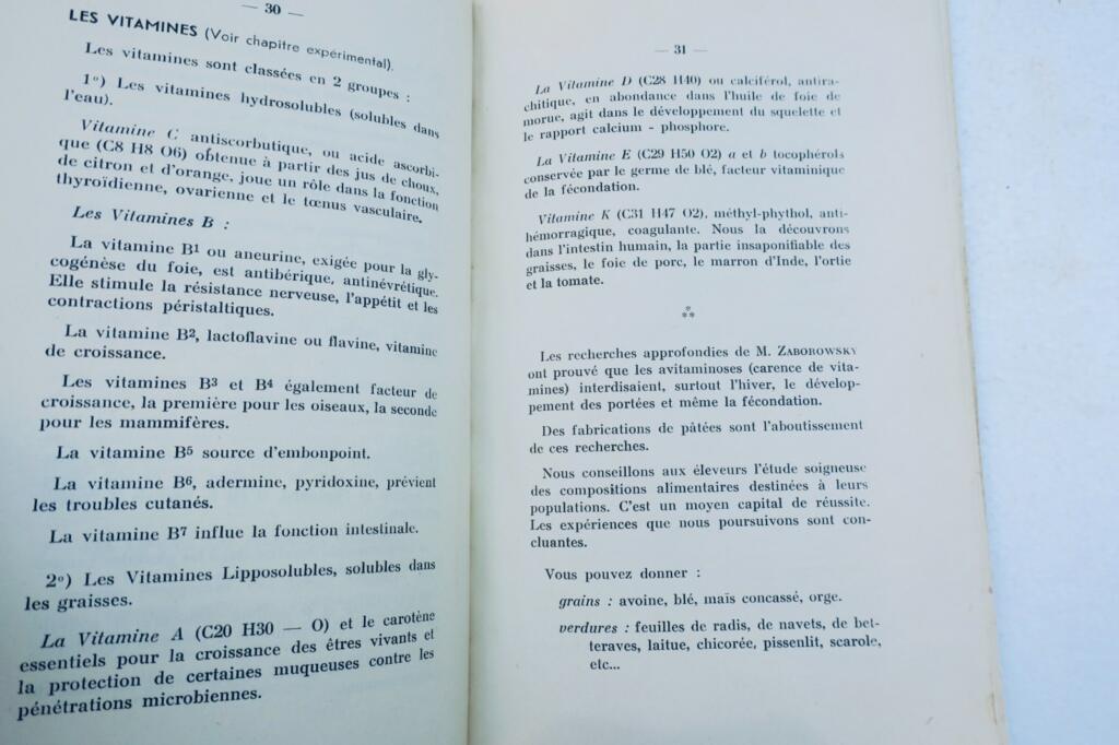 souris et rats blancs 1949. esquisse pour une étude