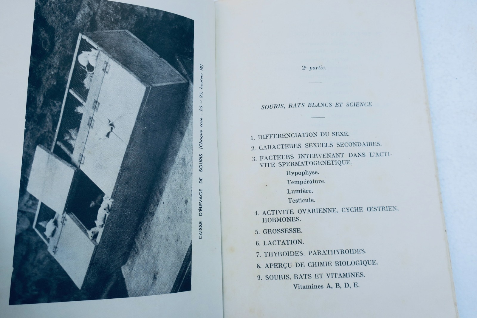 白鼠与白鼠 1949年 研究手稿