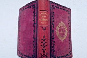 Vallery-Radot Journal eines Freiwilligen während eines Jahres. J. Hetzel