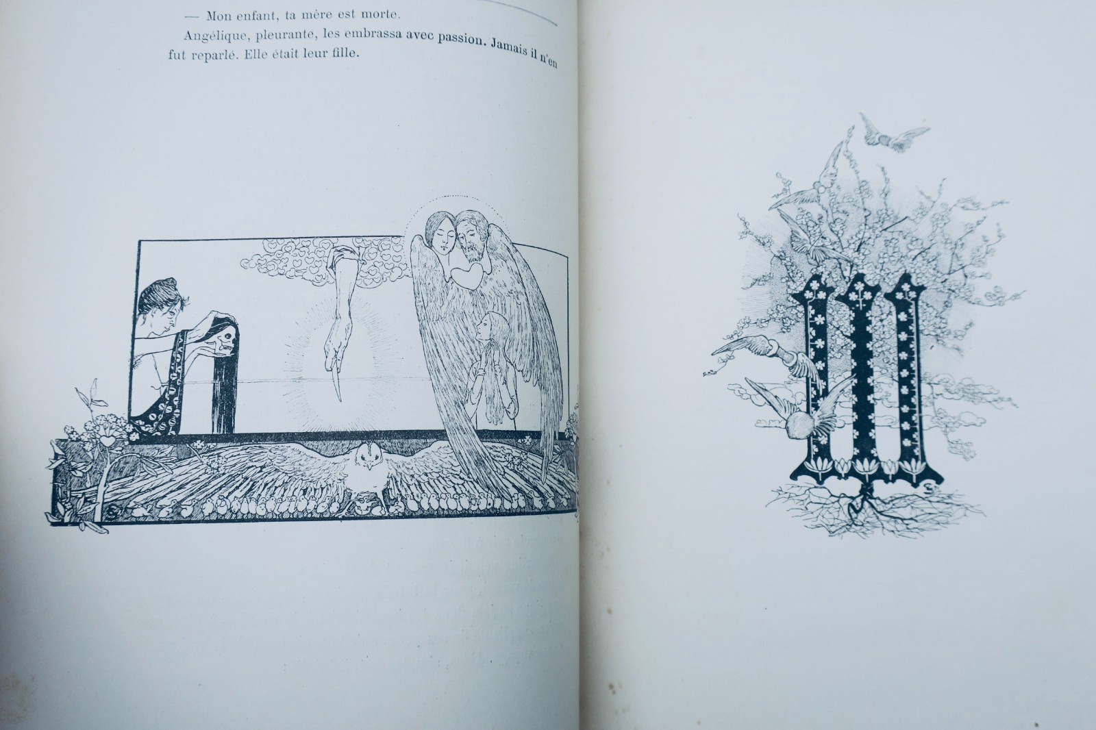 ZOLA SCHWABE METIVET Le Rêve EO – Image 7