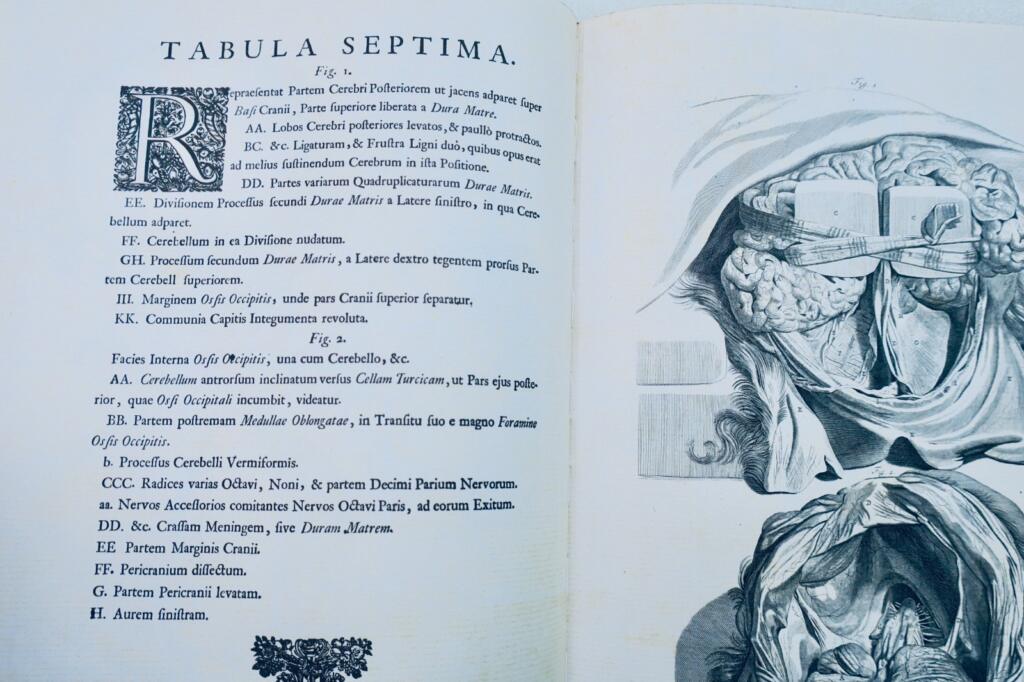 Anatomia corporum humanorum centum et viginti tabulis 1750