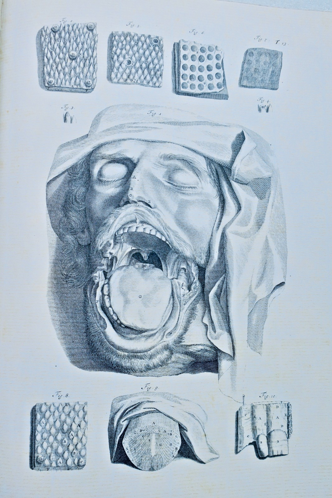 Anatomia corporum humanorum centum et viginti tabulis 1750 (livre, vue 2 sur 17)