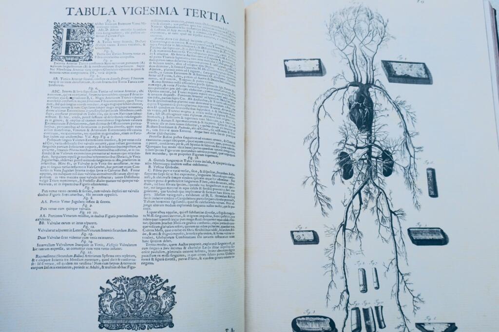 Anatomia corporum humanorum centum et viginti tabulis 1750