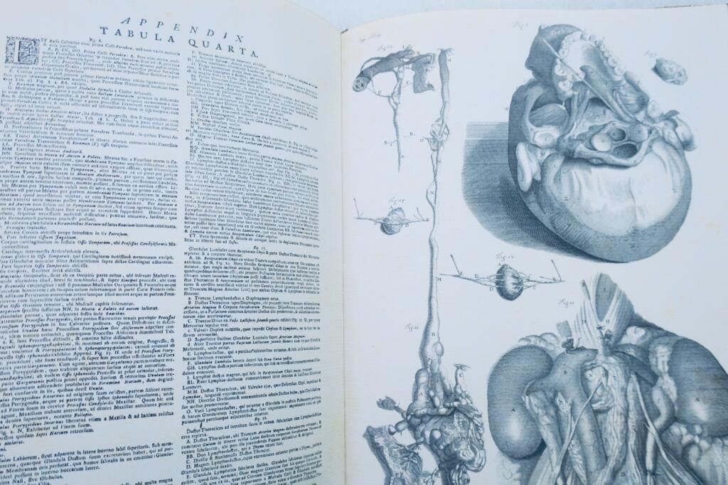 Anatomia corporum humanorum centum et viginti tabulis 1750
