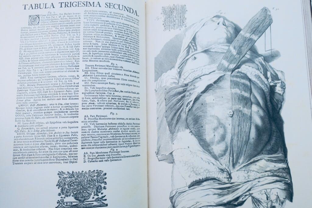 Anatomia corporum humanorum centum et viginti tabulis 1750