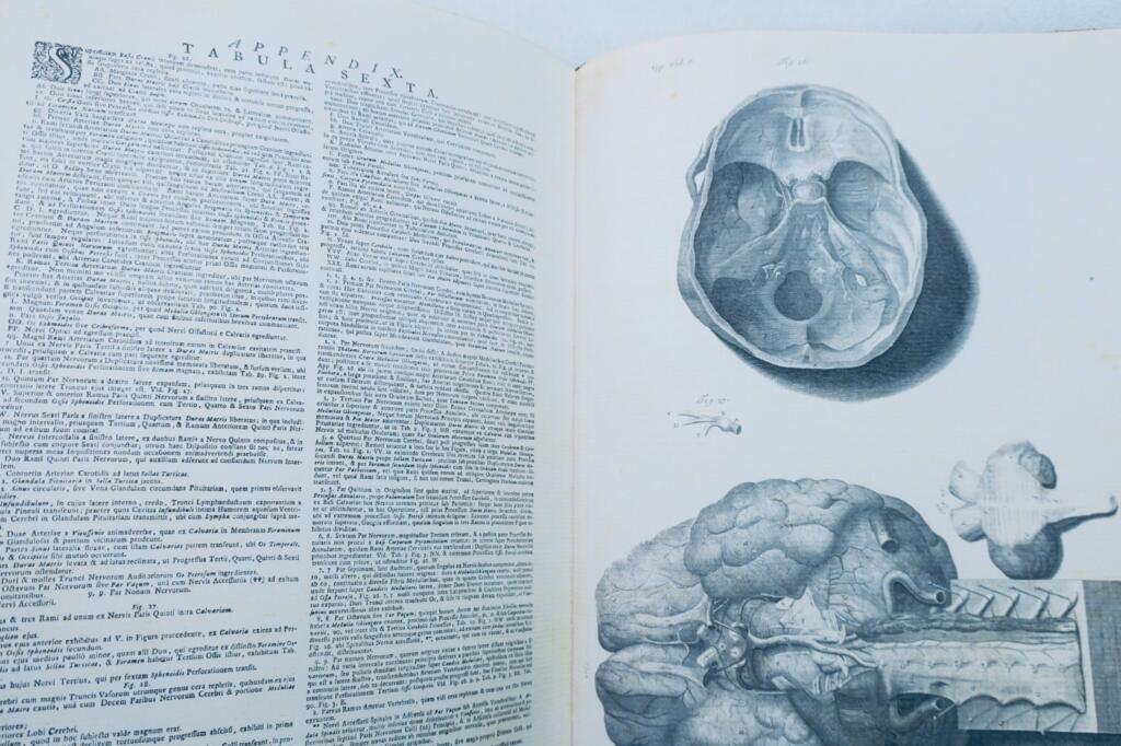 Anatomia corporum humanorum centum et viginti tabulis 1750